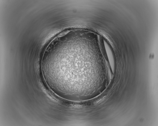 X0000089920677200707201819