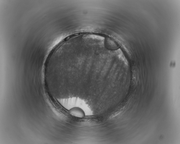 X0000089920678200707201819