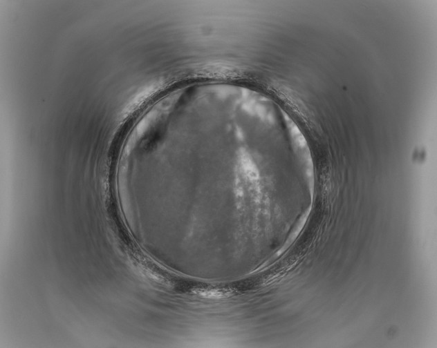 X0000089920679200707201819