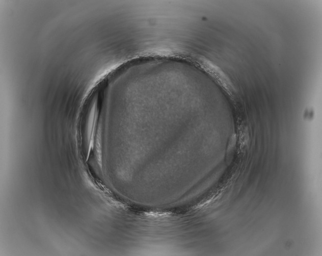 X0000089920680200707201819