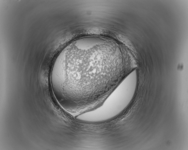 X0000089920681200707201819