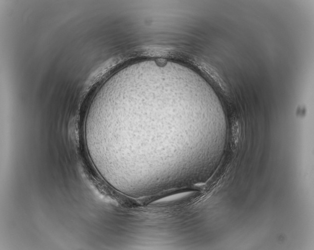 X0000089920682200707201819