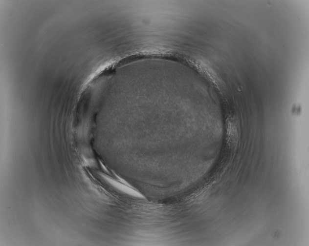 X0000089920684200707201819