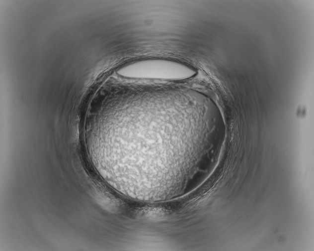 X0000089920685200707201818