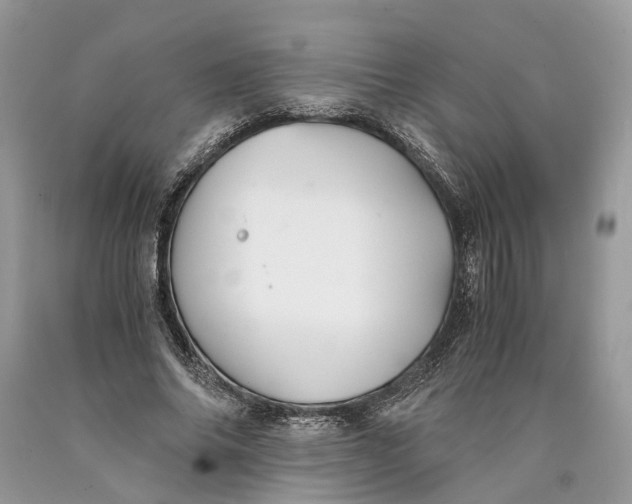 X0000089920686200707201818