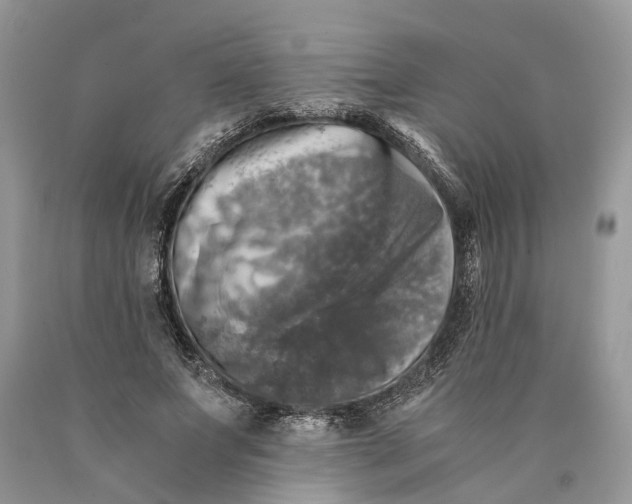 X0000089920687200707201818