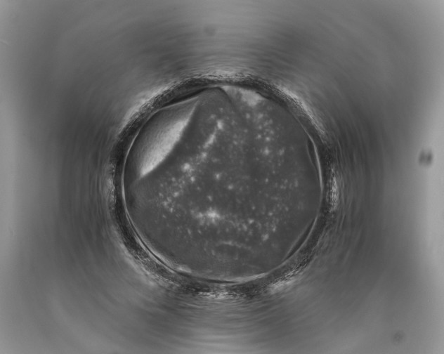 X0000089920688200707201818