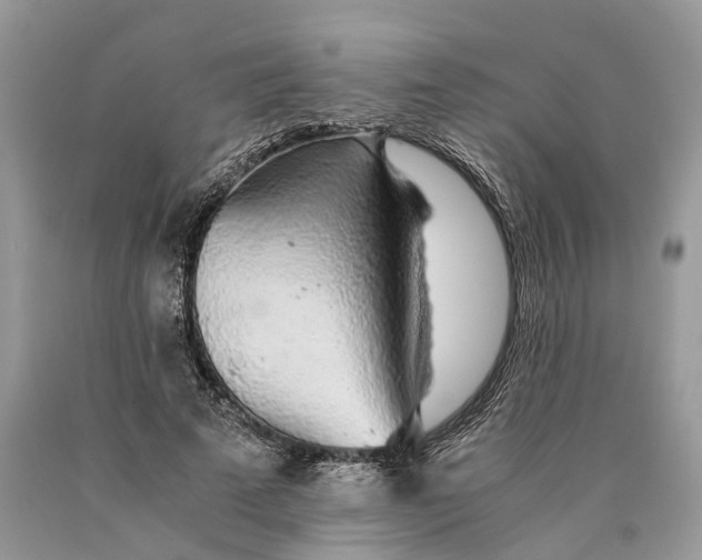 X0000089920689200707201818