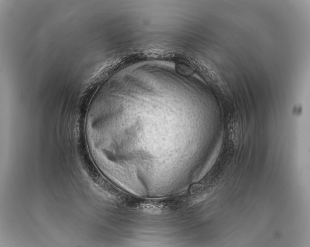 X0000089920690200707201818