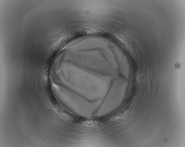 X0000089920691200707201818