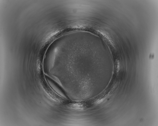 X0000089920692200707201818