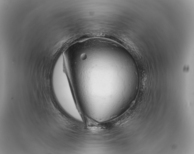 X0000089920693200707201818