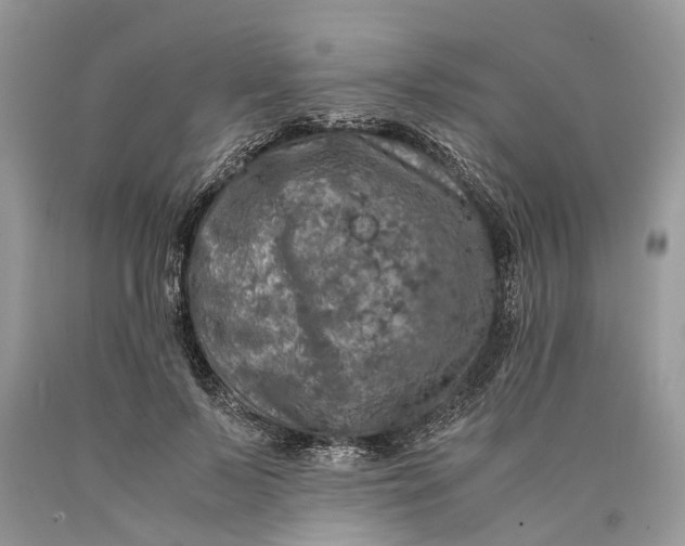 X0000089920695200707201818