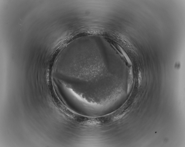 X0000089920696200707201818