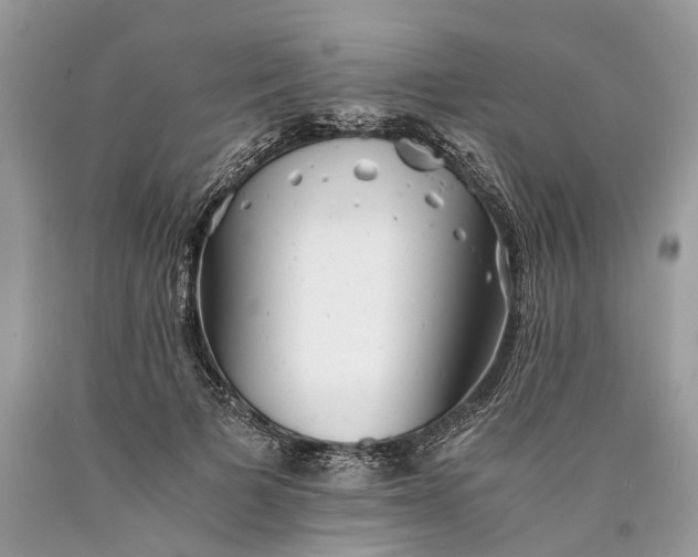 X0000089920697200707201818