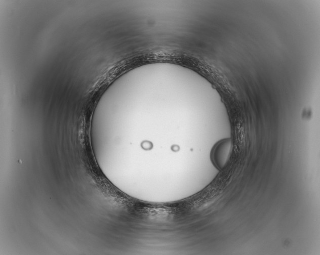 X0000089920698200707201818