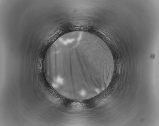 X0000089920699200707201818