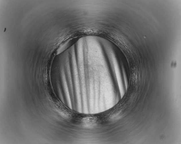 X0000089920700200707201818