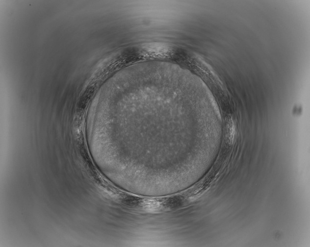 X0000089920701200707201818