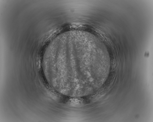 X0000089920703200707201818