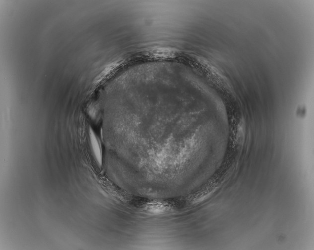 X0000089920704200707201818