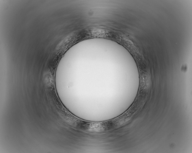 X0000089920705200707201818