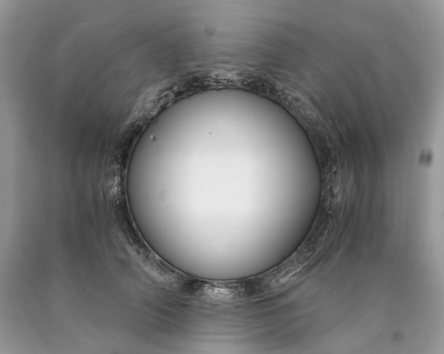 X0000089920706200707201818