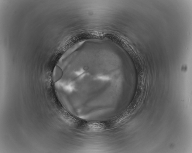 X0000089920707200707201818