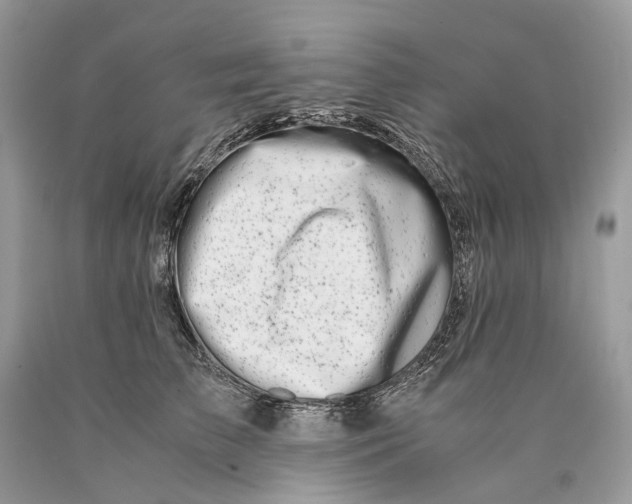 X0000089920709200707201818