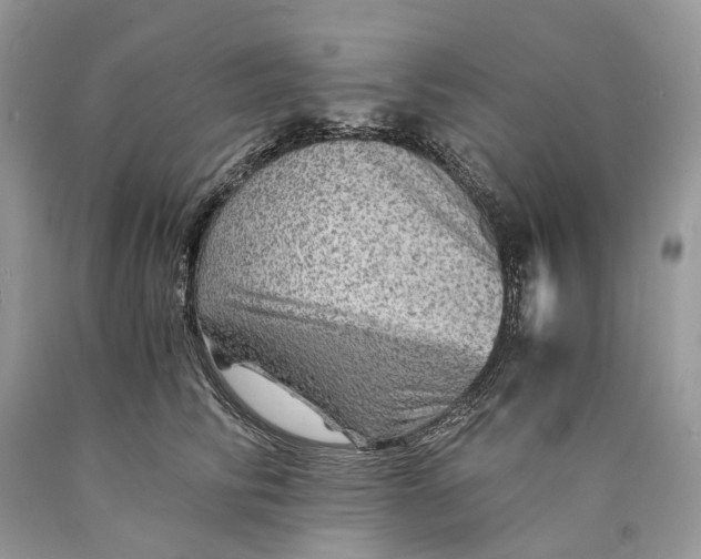 X0000089920710200707201818