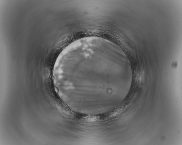 X0000089920711200707201818