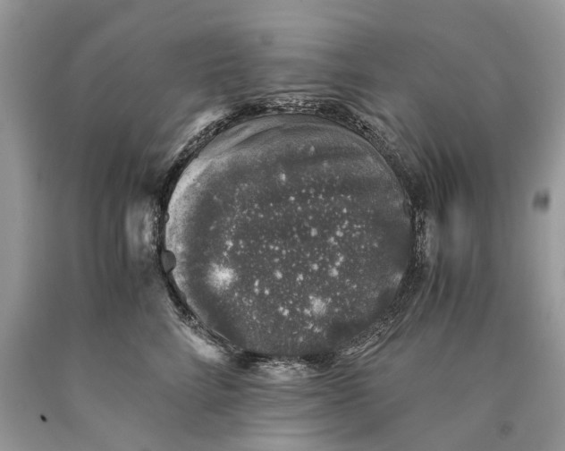 X0000089920712200707201818