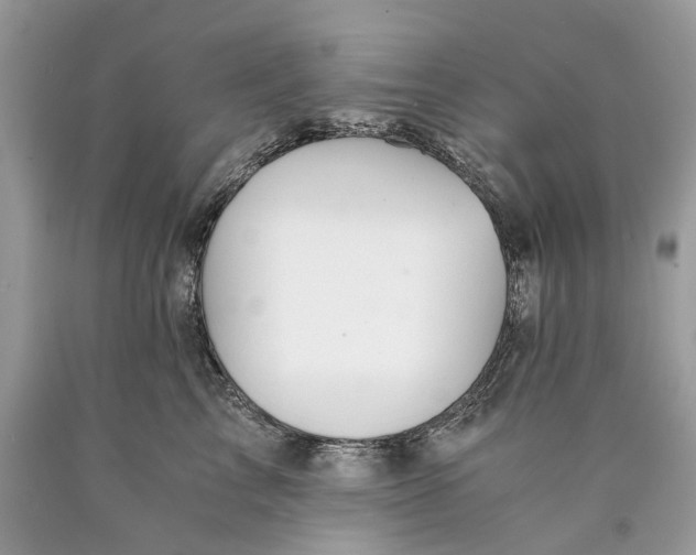 X0000089920713200707201818