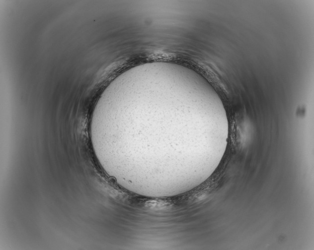 X0000089920714200707201818