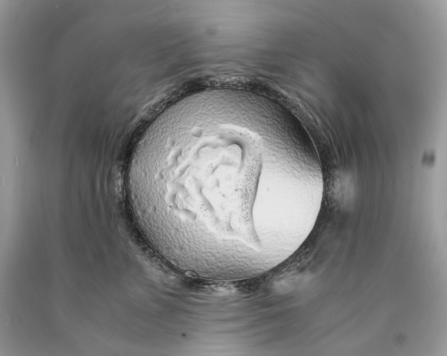 X0000089920715200707201818