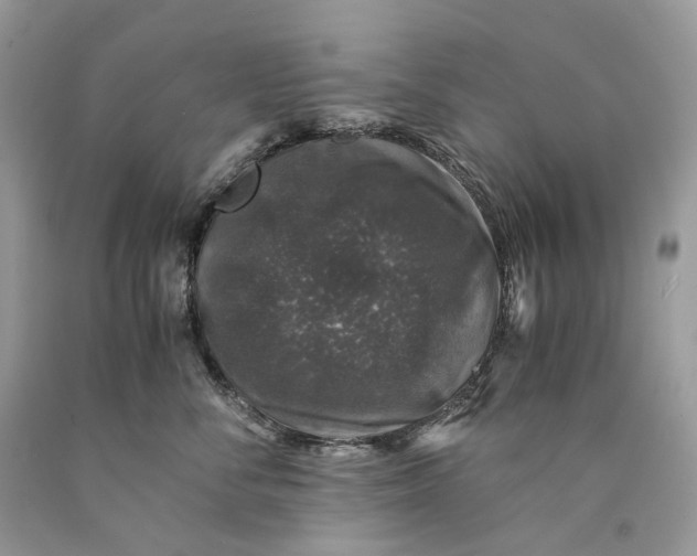 X0000089920716200707201818