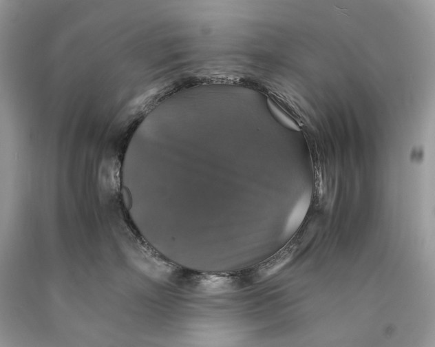 X0000089920718200707201818