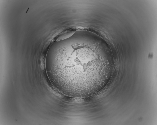 X0000089920719200707201818