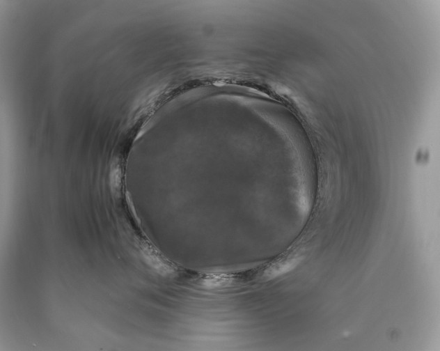 X0000089920720200707201818