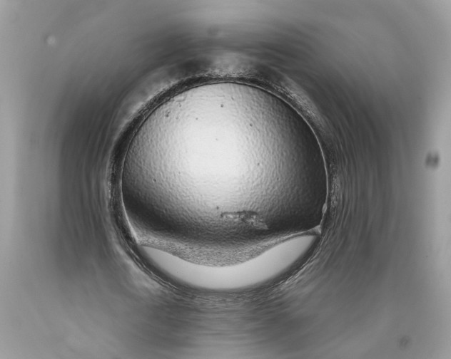 X0000089920722200707201817