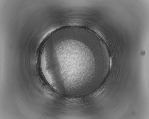 X0000089920723200707201817