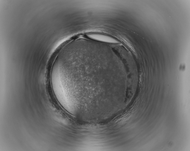 X0000089920724200707201817