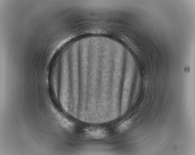 X0000089920727200707201817