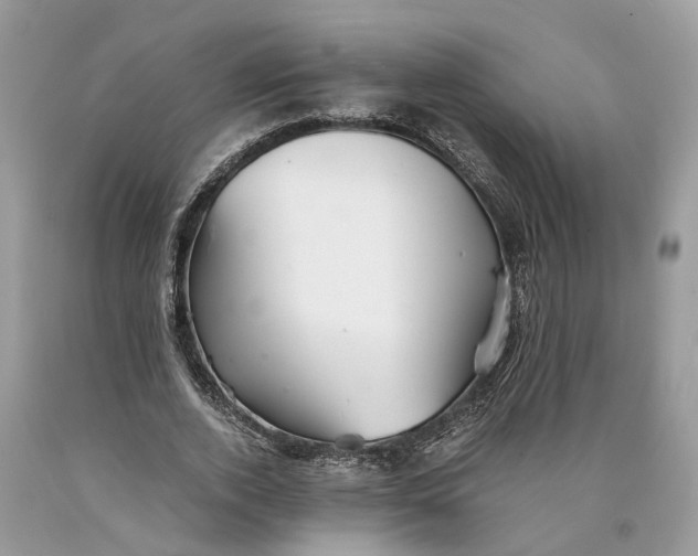 X0000089920728200707201817