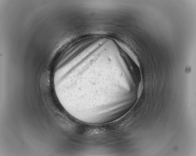 X0000089920731200707201817