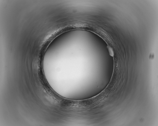 X0000089920732200707201817