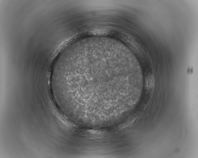 X0000089920733200707201817