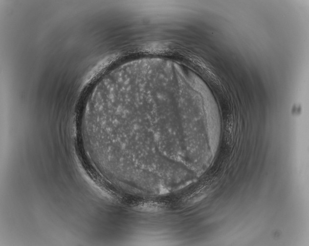 X0000089920734200707201818