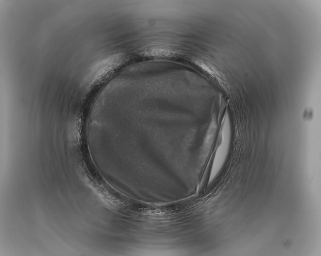 X0000089920735200707201818