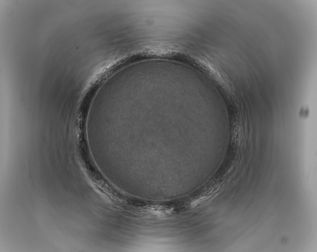 X0000089920736200707201818